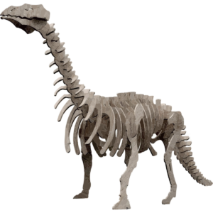 brontosaurus wood model kit