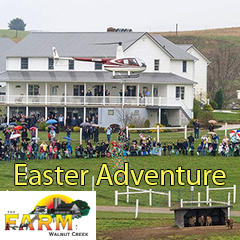 Easter Adventure at The Farm at Walnut Creek