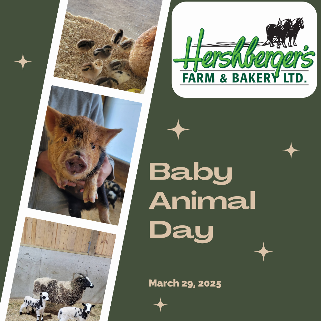2025 Baby Animal Day