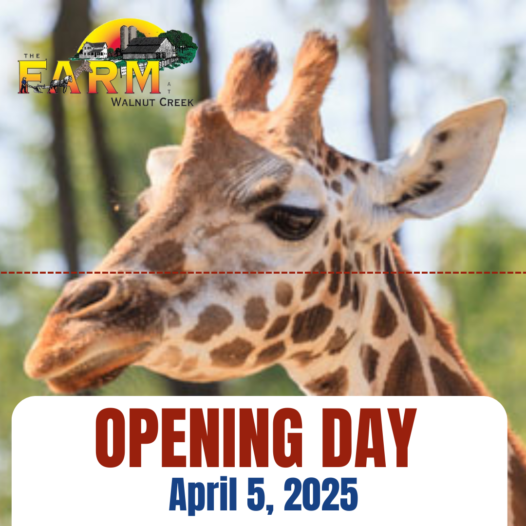 The Farm at Walnut Creek Opening Day 2025